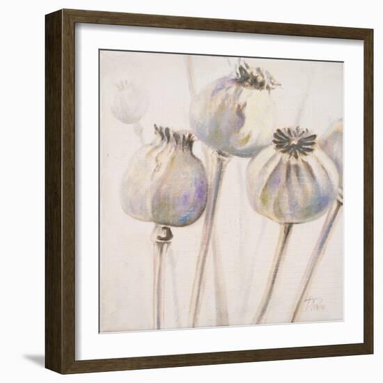 Poppy Seeds I-Patricia Pinto-Framed Art Print