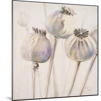 Poppy Seeds I-Patricia Pinto-Mounted Art Print