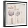 Poppy Seeds II-Patricia Pinto-Framed Art Print