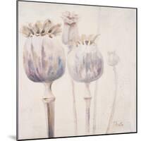 Poppy Seeds II-Patricia Pinto-Mounted Art Print