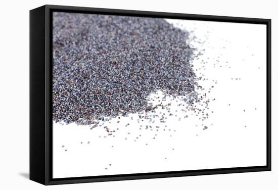 Poppy Seeds Isolated on White-Yastremska-Framed Stretched Canvas