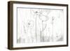 Poppy Sketches I-June Vess-Framed Art Print