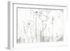 Poppy Sketches I-June Vess-Framed Art Print