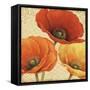 Poppy Spice I-Daphne Brissonnet-Framed Stretched Canvas