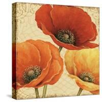 Poppy Spice I-Daphne Brissonnet-Stretched Canvas