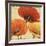 Poppy Spice I-Daphne Brissonnet-Framed Art Print