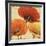 Poppy Spice I-Daphne Brissonnet-Framed Art Print