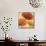 Poppy Spice I-Daphne Brissonnet-Mounted Art Print displayed on a wall