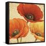 Poppy Spice I-Daphne Brissonnet-Framed Stretched Canvas