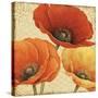 Poppy Spice I-Daphne Brissonnet-Stretched Canvas