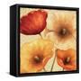 Poppy Spice III-Daphne Brissonnet-Framed Stretched Canvas