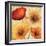 Poppy Spice III-Daphne Brissonnet-Framed Art Print