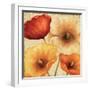 Poppy Spice III-Daphne Brissonnet-Framed Art Print