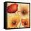 Poppy Spice III-Daphne Brissonnet-Framed Stretched Canvas