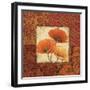 Poppy Spices I-Daphne Brissonnet-Framed Art Print