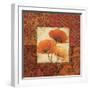 Poppy Spices I-Daphne Brissonnet-Framed Art Print