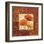 Poppy Spices I-Daphne Brissonnet-Framed Art Print