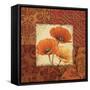 Poppy Spices I-Daphne Brissonnet-Framed Stretched Canvas
