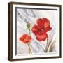 Poppy Splendor 1-DB Studios-Framed Art Print