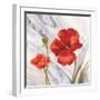 Poppy Splendor 1-DB Studios-Framed Art Print