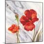 Poppy Splendor 1-DB Studios-Mounted Art Print