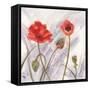 Poppy Splendor 2-DB Studios-Framed Stretched Canvas