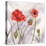 Poppy Splendor 2-DB Studios-Stretched Canvas