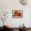 Poppy Splendor I-Lanie Loreth-Framed Art Print displayed on a wall