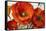 Poppy Splendor I-Lanie Loreth-Framed Stretched Canvas