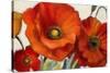 Poppy Splendor I-Lanie Loreth-Stretched Canvas