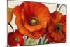 Poppy Splendor I-Lanie Loreth-Mounted Art Print