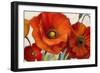 Poppy Splendor I-Lanie Loreth-Framed Premium Giclee Print