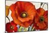 Poppy Splendor I-Lanie Loreth-Mounted Premium Giclee Print