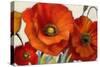 Poppy Splendor I-Lanie Loreth-Stretched Canvas