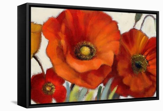 Poppy Splendor I-Lanie Loreth-Framed Stretched Canvas