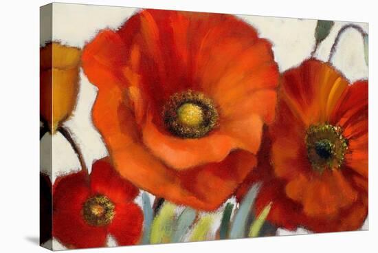 Poppy Splendor I-Lanie Loreth-Stretched Canvas