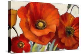 Poppy Splendor I-Lanie Loreth-Stretched Canvas