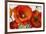 Poppy Splendor I-Lanie Loreth-Framed Premium Giclee Print