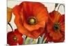 Poppy Splendor I-Lanie Loreth-Mounted Art Print