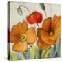 Poppy Splendor Square III-Lanie Loreth-Stretched Canvas