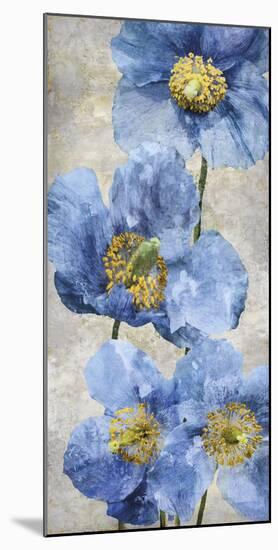 Poppy Splendour I-Tania Bello-Mounted Giclee Print