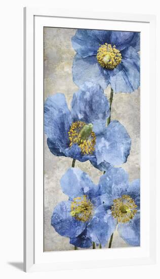 Poppy Splendour I-Tania Bello-Framed Giclee Print