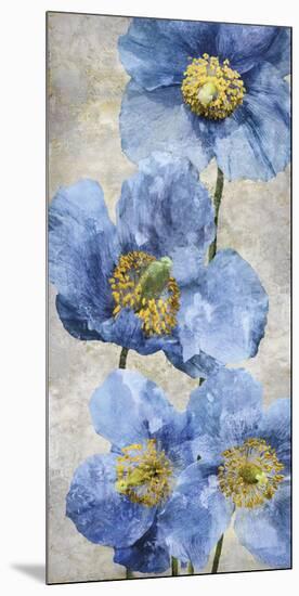 Poppy Splendour I-Tania Bello-Mounted Giclee Print
