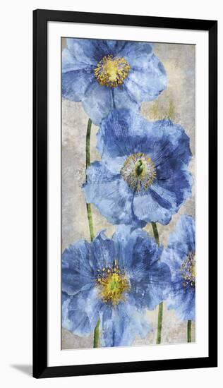 Poppy Splendour II-Tania Bello-Framed Giclee Print