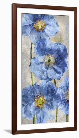 Poppy Splendour II-Tania Bello-Framed Giclee Print