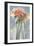 Poppy Spray I-Jennifer Goldberger-Framed Art Print