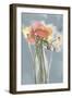 Poppy Spray III-Jennifer Goldberger-Framed Art Print