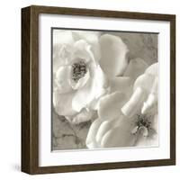 Poppy Study III-Sondra Wampler-Framed Art Print