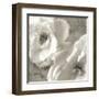 Poppy Study III-Sondra Wampler-Framed Art Print