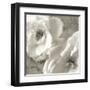 Poppy Study III-Sondra Wampler-Framed Art Print